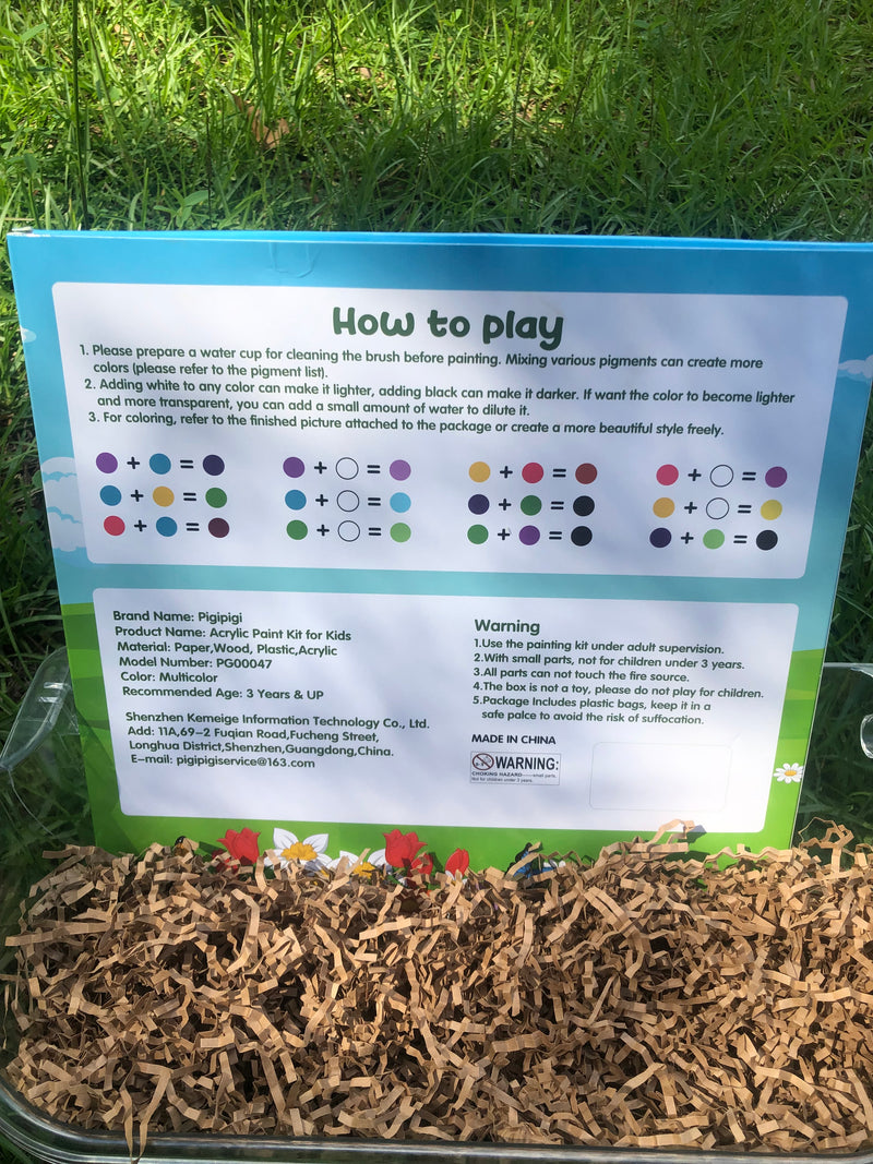 Acrylic Paint Kit for Kids