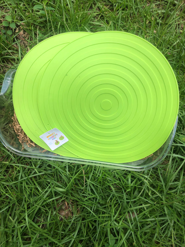 Pair of Sensory Mats